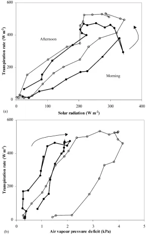 Fig. 4. (a) Canopy transpiration rate (λEc) versus solar radiation (Rs,a): (�) 19 August, no-misting; (�) 27 August, misting