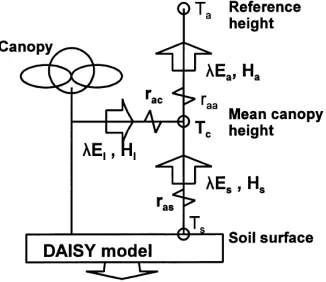 Fig. 1. Schematic representation of resistance network and energyﬂuxes for the two-source SVAT component of the DAISY model.Aerodynamic resistances ras, rac and raa as well as energy ﬂuxesλE and H with indices s, l and a are deﬁned between mean sourceheigh