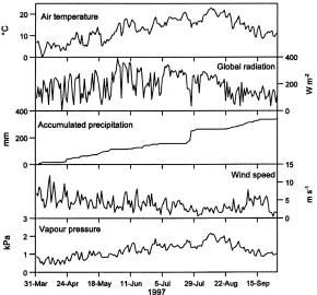 Fig. 2. Daily averaged meteorological variables at winter wheat plot from April to September 1997.