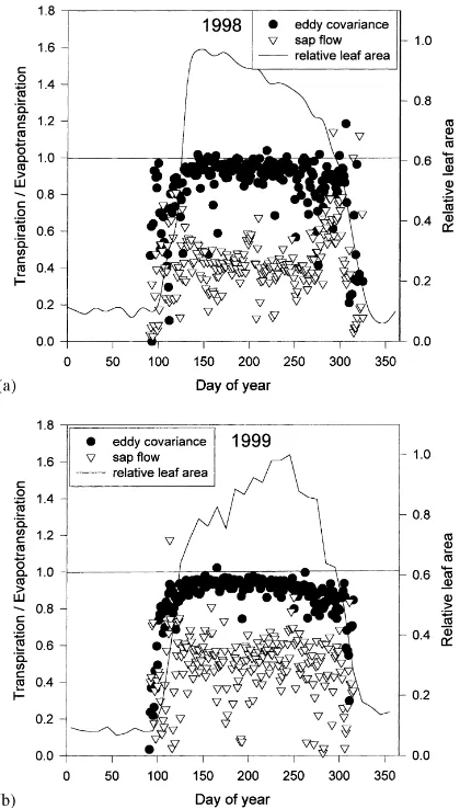 Fig. 6. The transpiration ratio (transpiration/evapotranspiration) andrelative leaf area index (leaf area index in relation to maximum)in (a) 1998 and (b) 1999