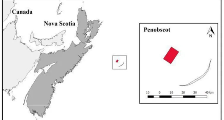 Gambar 1. Lokasi lapangan Penobscot, pada  Scotia Shelf, lapangan lepas pantai Nova Scotia, 