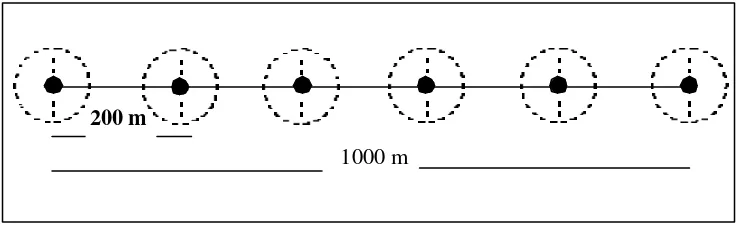Gambar 2.  Bentuk titik pengamatan dengan menggunakan metode Point Count   atau IPA  