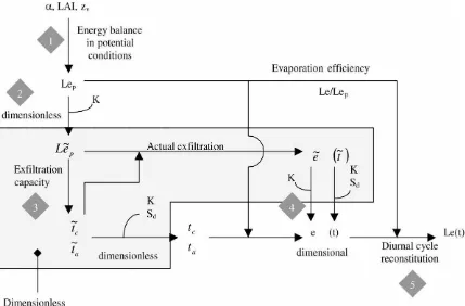 Fig. 6. Model algorithm.