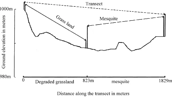 Fig. 2. Ground elevation and scintillometer transmitter/receiver heights along the transect spanning the degraded grass and the mesquitepatches.