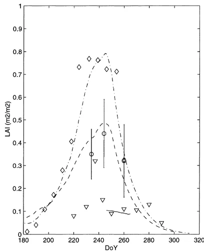 Fig. 3. Observed (▽, � and �) and simulated (–, – – and – ·)seasonal evolution of the LAI for years 1997–1999, respectively.Error bars indicate the standard deviation.