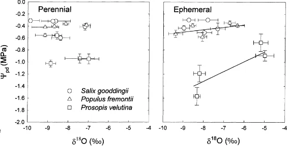Fig. 6. Relationship between mean δ18O and mean predawn leaf water potential (Ψ pd) at each sampling period over the 1997 growingseason for Salix gooddingii, Populus fremontii, and Prosopis velutina at a perennial reach and an ephemeral tributary of the Sa