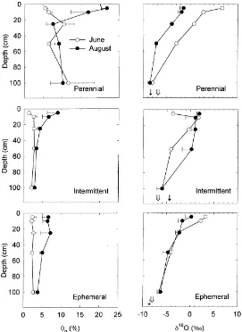 Fig. 3. Gravimetric soil water content (θg) and soil water δ18O at 5, 10, 25, 50, and 100 cm depths in June prior to the onset of thesummer ‘monsoon’ rainy season, and August after a large precipitation event