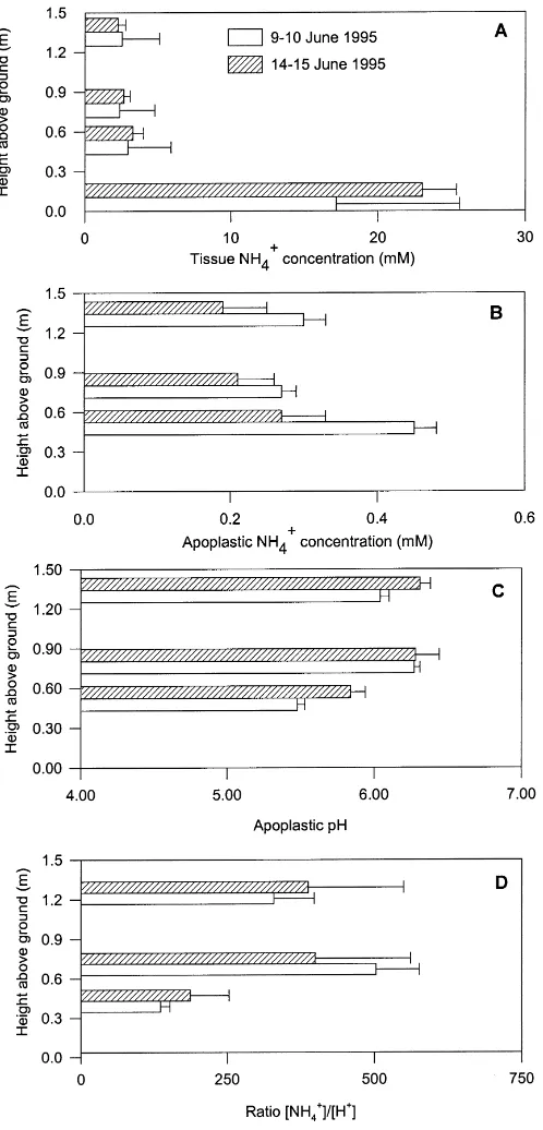 Fig. 2. Canopy proﬁles of (A) bulk tissue NH4+ concentrations, (B) apoplastic NH4+ concentrations, (C) apoplastic H+ concentrationsand (D) [NH4+]/[H+] ratios in oilseed rape apoplastic solution during the two diurnal campaign periods 9–10 and 14–15 June 19
