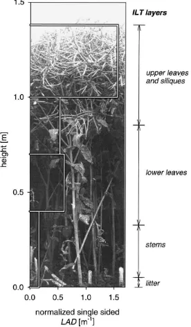 Fig. 1. Photograph of the cross-section through the oilseed rape canopy and normalized single sided LAD as measured for three differentleaf layers and as estimated from Gammelvind et al