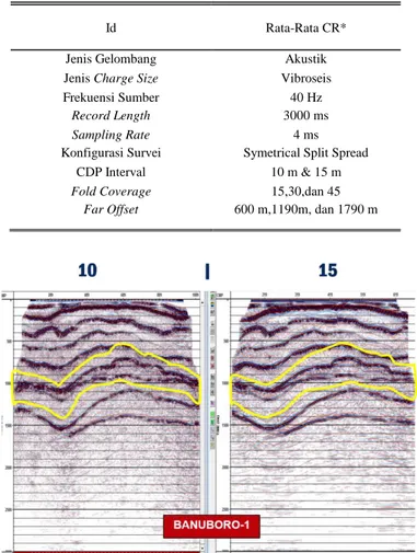 Gambar  6.  Model Geologi Lintasan Seismik Utara-Selatan  