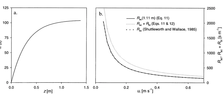 Fig. 6. Parametrization of within-canopy turbulent atmospheric resistance (Rac) and quasi-laminar boundary layer resistance (Rb1) for theground surface litter layer