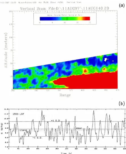 Fig. 1. (a) Vertical scan of LIDAR-measured water vapor during the SALSA program over the cottonwood canopy at 1436 LST, 11 August1997