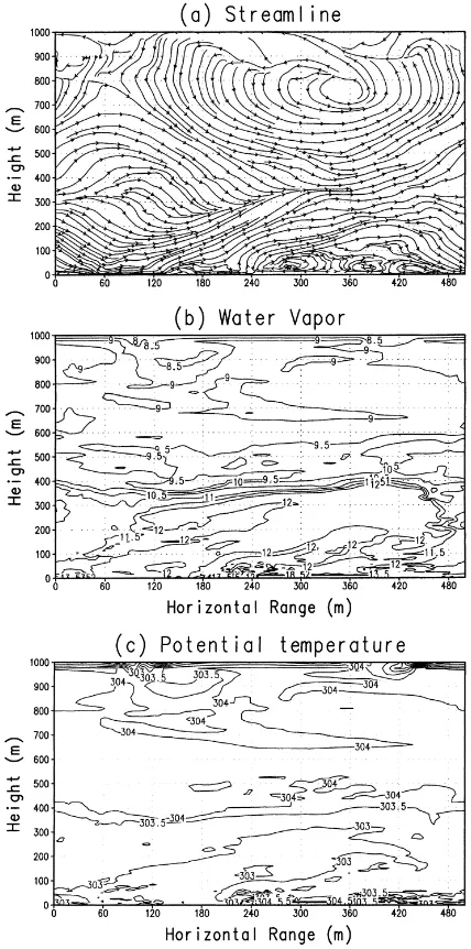 Fig. 3. Simulated: (a) 2D streamlines; (b) water vapor with acontour interval of 0.5 g kg−1; (c) potential temperature with acontour interval of 0.5 K at 0800 LST.