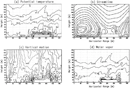 Fig. 6. Simulated: (a) potential temperature with a contour interval of 0.5 K; (b) streamline; (c) vertical motion with a contour interval of0.2 ms−1; (d) water vapor with a contour interval of 0.125 g kg−1