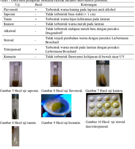 Tabel 7 Data hasil penapisan fitokimia ekstrak metanol Marchantia geminata. 