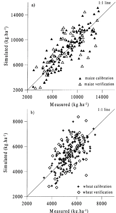 Fig. 2. Comparison between simulated and measured grain yieldof maize (a) and winter wheat (b).