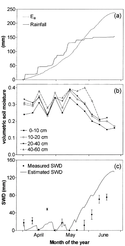 Fig. 5. (a) Cumulative rainfall and actual evapotranspiration (Ea);(b) seasonal trend of volumetric soil moisture measured at fourdifferent depths; (c) measured (ﬁlled circles) or calculated (con-tinuous line) soil water deﬁcit (SWD).