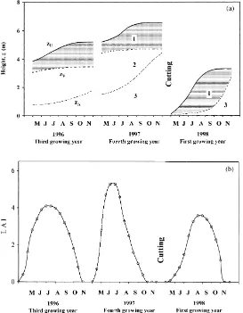 Fig. 3. (a) Development of three vegetation layers of a willow coppice during the growing seasons of 1996–1998