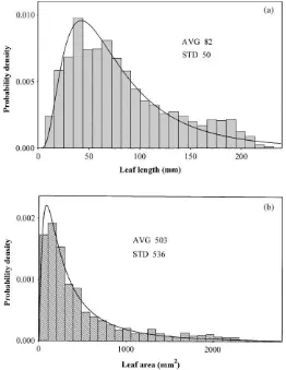 Fig. 5. Probability histogram of leaf length (a) and leaf area (b), ﬁtted by a lognormal distribution, measured by Ross in 1997 and 1998.