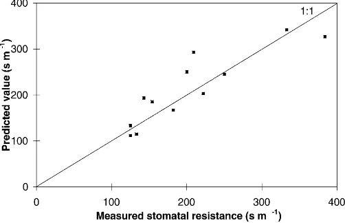 Fig. 3. Predicted values of stomatal resistance vs. measured values on an hourly basis for the 2 days retained in the comparison (10 and15 October 1992).