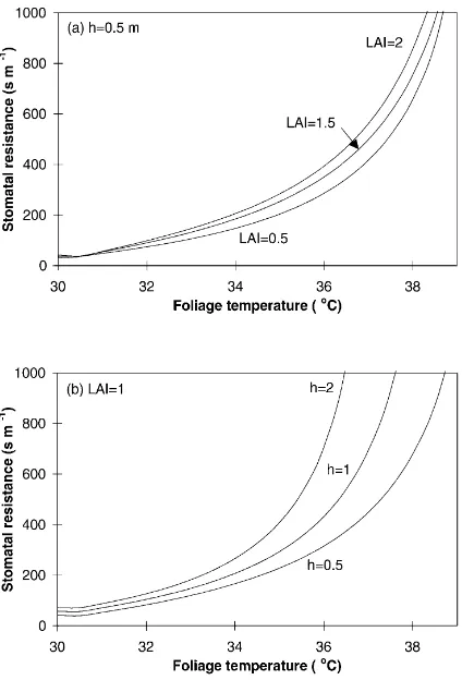 Fig. 5. Stomatal resistance vs. foliage temperature: (a) for differentvalues of LAI; (b) for different values of vegetation heightS h (m).=800 W m−2, Ta=30◦C, RHa=60%, ua=2 m s−1 and Ts=40◦C.