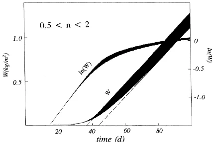Fig. 1. Increase in biomass Wwith and ln(W) derived from Eq. (7) Rm=0.2 per day, Cm=20 g m−2 per day, C0/Cm=0.003 and nranging from 2 (lowest limits of W and ln(W)) to 0.5 (uppermostlimits).