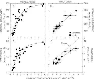 Fig. 1. Stomatal conductance (a, c) and transpiration rate (b, d) vs. hydraulic conductance from bulk soil to leaf