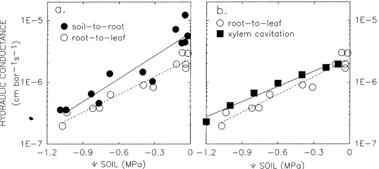 Fig. 2. Hydraulic conductance (log scale) vs. � soil in soybean. (a) Soil-to-root and root-to-leaf hydraulic conductances (from Blizzardand Boyer, 1980) and (b) root-to leaf data from Blizzard and Boyer (1980) compared with the loss of hydraulic conductanc