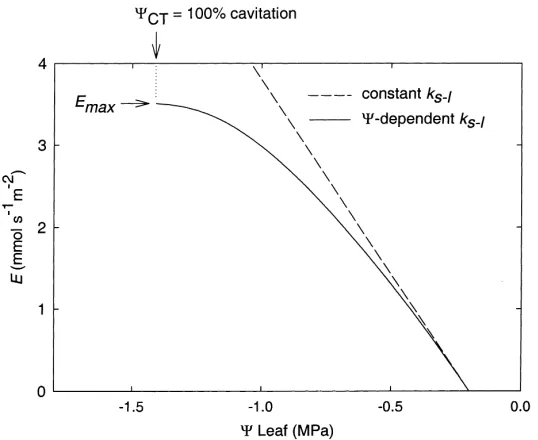 Fig. 4. Minimum possible �tend to have larger safety margins (average xylem based on the cavitation response vs