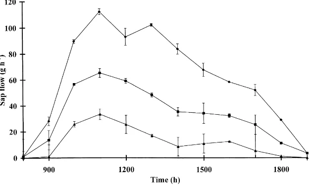 Fig. 4. Diurnal time courses of sap ﬂow in lateral roots at distances of 50 (�), 115 (�) and 190 cm (�) from the trunks of Grevillearobusta at Machakos, Kenya (modiﬁed from Lott et al., 1996).