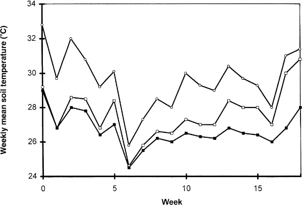 Fig. 6. Weekly daily soil temperatures under Parkia biglobosa (�) and Butyrospermum parkii (�) or in the open (�) during the croppingseason at Sapone, Burkina Faso (modiﬁed from Jonsson, 1995).