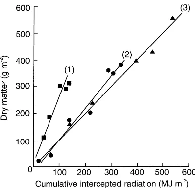Fig. 1. Relation between dry matter production and cumulativeintercepted radiation between 44 and 98 days after sowing forgroundnut grown at Hyderabad, India