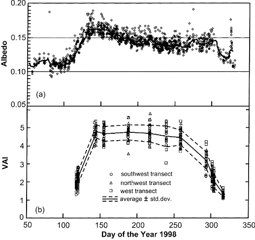 Fig. 2. Forest phenology over the vegetative season of 1998 at MMSF. (a) Variation of albedo