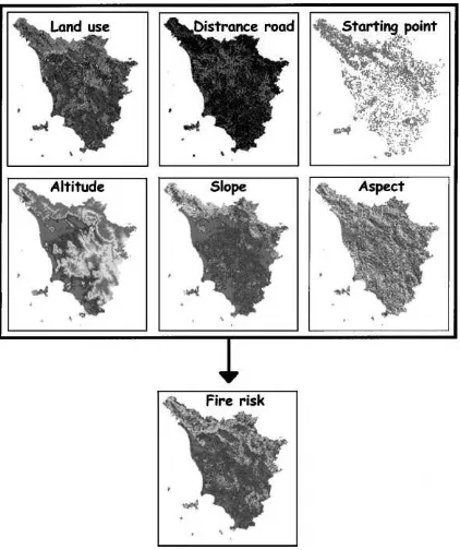 Fig. 8. The monthly distribution of ﬁre frequency in Tuscanyregion (1984–1996).