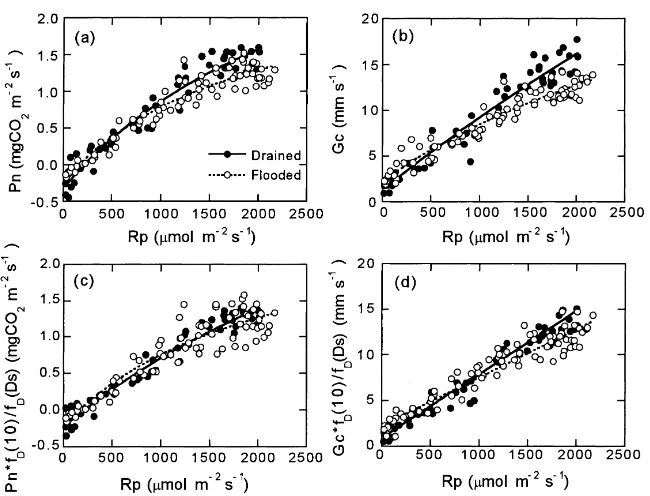 Fig. 4. Relationship between net photosynthesis rate of rice plants (Pn), canopy conductance (Gc) and photosynthetically active radiationﬂux density (Rp) on drained days (7–8 August; closed circles) and ﬂooded days (10–12 August; open circles)
