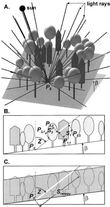 Fig. 1. Overview of MIXLIGHT’s ray tracing approach to lightmodeling. (A) View of light rays extending from the sun andpoints scattered across the sky through a stand of trees to themeasurement point (P0)
