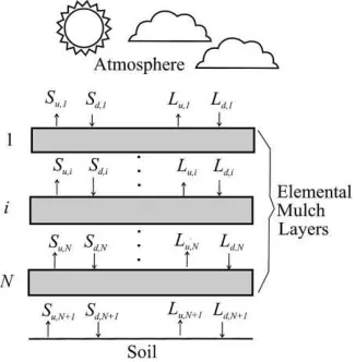 Fig. 1. Schematic showing both downward (subscript d) and up-ward (subscript u) ﬂux densities of shortwave,L S, and longwave,, radiation in the soil–mulch–atmosphere system.