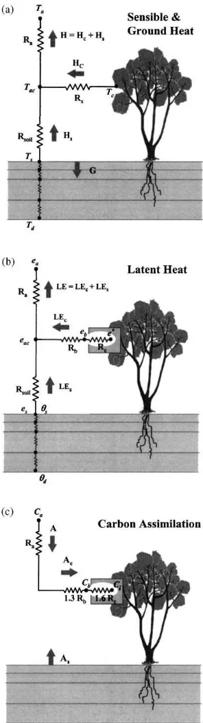 Fig. 1. Transport resistance networks used in the ALEX model tocompute ﬂuxes of (a) sensible and soil heating, (b) latent heatingand (c) assimilated carbon.