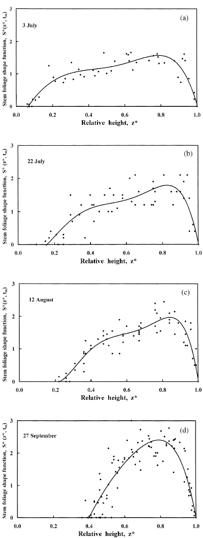 Fig. 5. Shape function Stion throughout the growth period in 1998. Points correspond to*(z*) of stem foliage vertical distribu-measured values, curves — to ﬁtted polynomials.