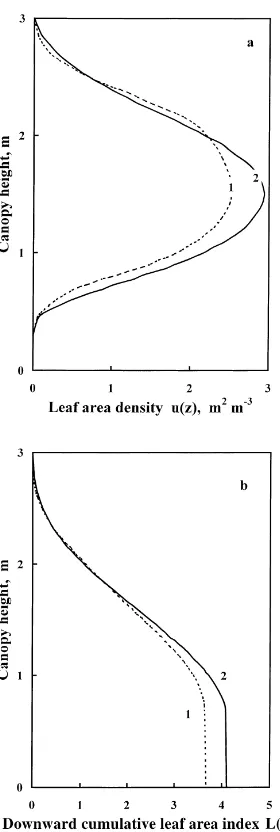 Fig. 7. Vertical distribution of (a) the leaf area density uthe downward cumulative leaf area index(z) and (b) L(z) on 24 August 1998.1 — experimental data, 2 — calculated using interpolation method.