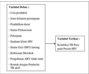 Gambar 3.1. Kerangka konsep faktor-faktor  koinfeksi TB paru pada 