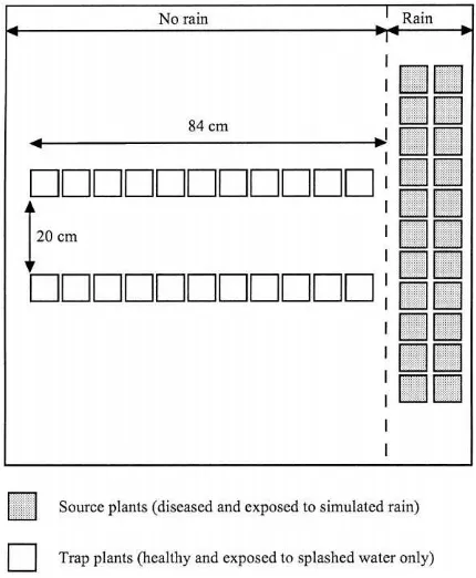 Fig. 1. Schematic layout of source and trap plants in the exper-iments in still air. Shaded boxes: source plants with sporulatinglesions, clear boxes: trap plants.