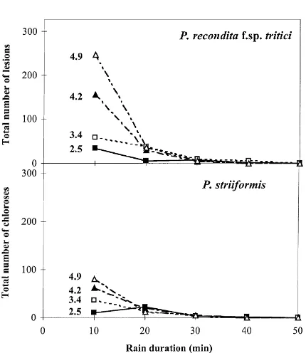 Fig. 3. Decrease in numbers of brown rust lesions or yellow rustchloroses produced on the trap plants with continuous exposureof source plants to rain