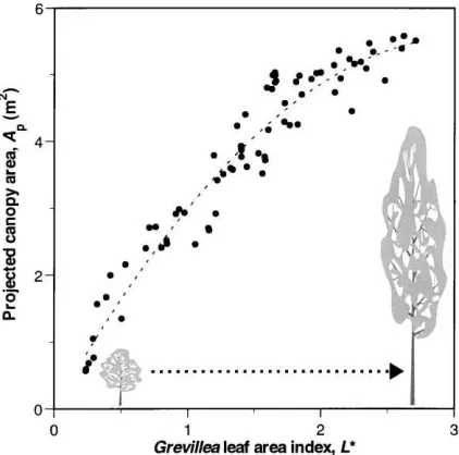 Fig. 2. Empirical relationship determined between the leaf areaindex (L∗) and the projected area (Ap, in m2) of G