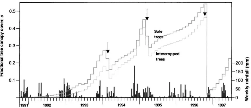 Fig. 3. Changes in the fractional cover, cestimated from the formula from Fig. 2. Arrows denote times at which the canopies were pruned