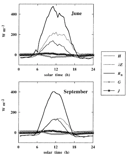 Fig. 8. Monthly average diurnal variation of the energy ﬂuxes inthe beech stand: net radiation (Rn), sensible ﬂux (H), latent ﬂux(λE), soil heat ﬂux (G) and heat storage in the vegetation (J).Top: high soil water content (June 1997), bottom: low soil watercontent (September 1997).