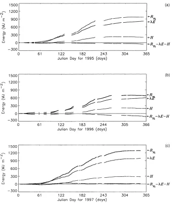 Fig. 3. A cumulative plot for (a) 1995, (b) 1996 and (c) 1997 of measurements of net radiation, Rn, evaporative ﬂux, λE, sensible heatﬂux, H and Rn–λE–H where such data exists