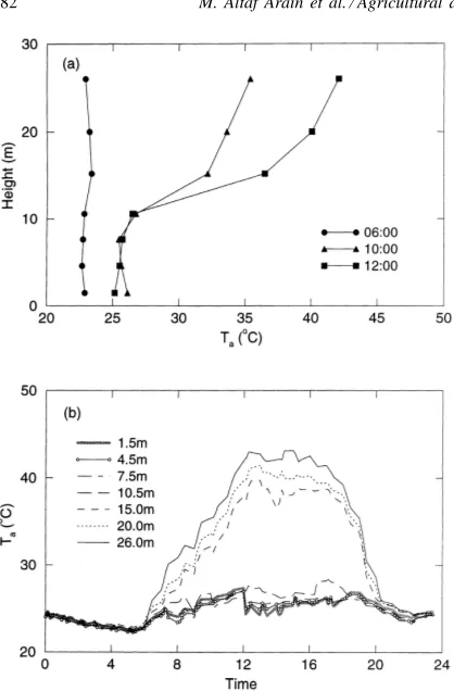 Fig. 4. Air temperature (Ta) measured with thermocouple ther-mometers at 1.5, 4.5, 7.6, 10.6, 15.2, 20, and 26 m above groundlevel on 22 June 1998 in the Biosphere2 Center (B2C) rain forestat central location