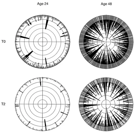 Fig. 1. Hemispherical view of a control plot (T0) and a heavily thinned and fertilized plot (T2) at age 24 years and again at 48 years,from a random reference point within each plot