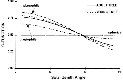 Fig. 3. Leaf angle distribution function of the angle between thevertical and the leaf for an olive tree.